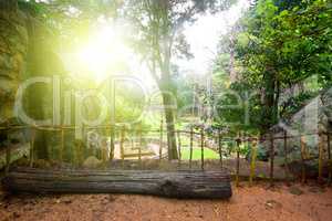 Beautiful park on Sigiriya