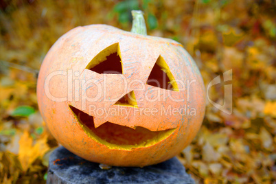 Kürbis mit Gesicht für Halloween