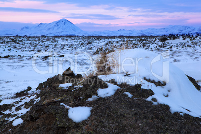 Winter landscape with evening light