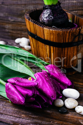 Bouquet of purple tulips