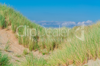 Seegrass, Strand und Sanddünen