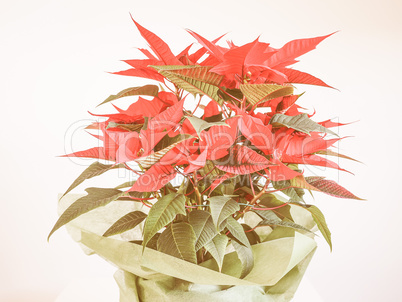 Retro looking Poinsettia Christmas star