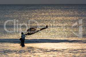 Fischer auf Bali wirft Netz aus