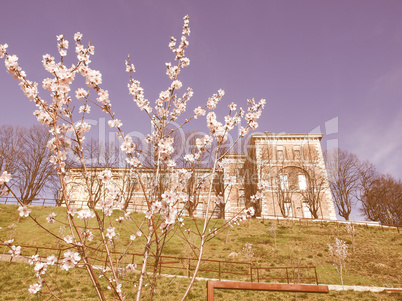 Castello di Rivoli, Italy vintage