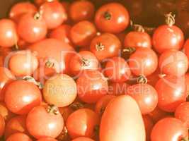 Retro looking Tomatoes picture