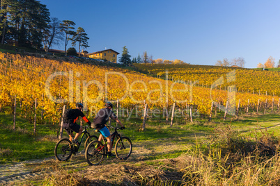 Bikers in the vineyard