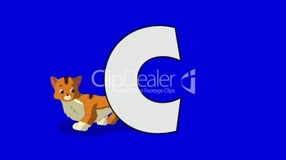 Letter C and Cat (background)