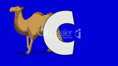 Letter C and Camel (background)