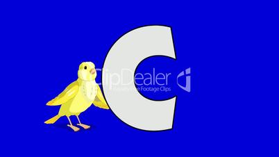Letter C and Canary (background)