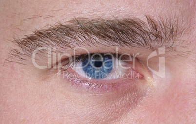 Sharp and detail macro of blue eye