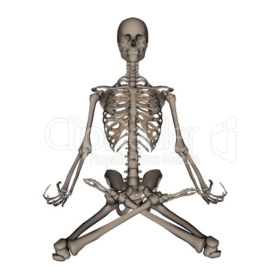Human skeleton meditation- 3D render