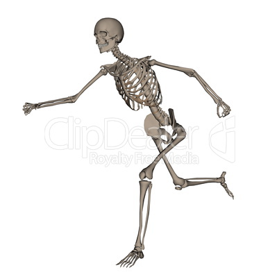 Human skeleton running- 3D render