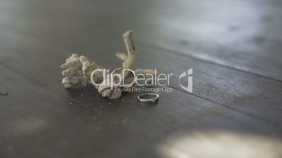 Small crab is near engagement rings.