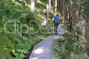 Waalweg bei Umhausen, Ötztal