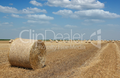 field with straw bale agriculture industry