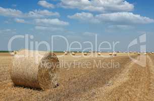 field with straw bale agriculture industry