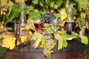 red and white wine autumn scene