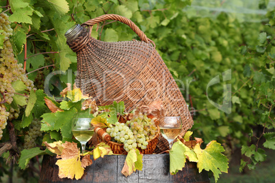 white grape and wine autumn scene
