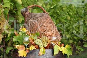 white grape and wine autumn scene
