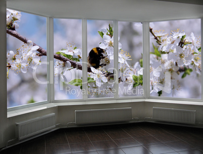 plastic windows overlooking the blossoming garden