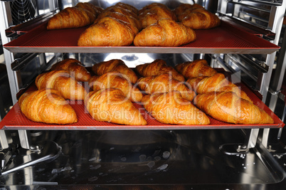 freshly baked croissants