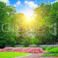 summer park with beautiful flowerbeds