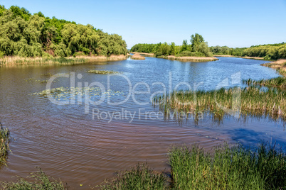 Nice landscape with lake