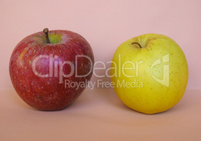 Red and yellow apple fruit