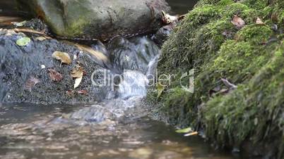 stream stones and moss nature scene