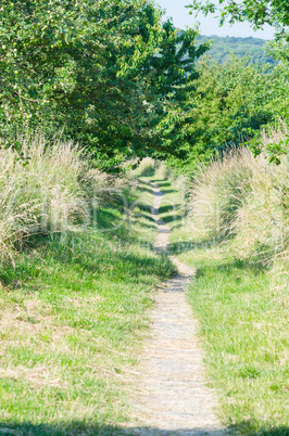 Alter Wanderweg, Hohlweg