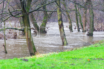 Überflutete Uferböschung bei starken Regen