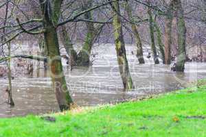 Überflutete Uferböschung bei starken Regen