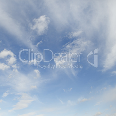 cirrus clouds in the blue sky