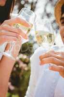 Young couple toasting a wine glass