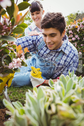 Young couple maintaining plants in garden