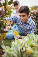 Young couple maintaining plants in garden