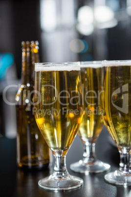 Glasses of beer ready to serve on bar counter