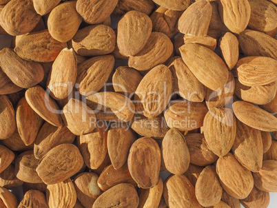 Almonds dried fruit