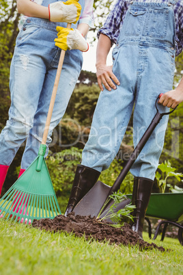 Young couple standing near a sapling in garden