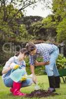 Young couple watering a sapling