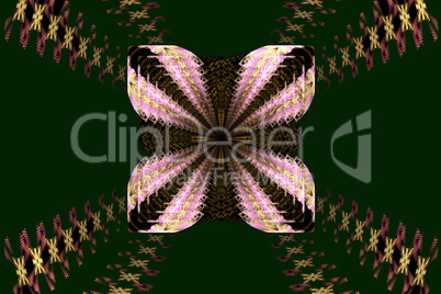 Fractal images : beautiful patterns on a dark green background.