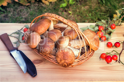 White strong mushrooms in a basket on the table surface