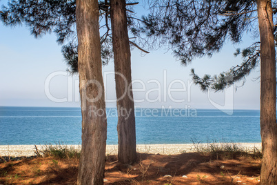 Landscape with sea views. Pitsunda, Abkhazia.