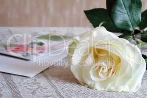 White rose and a letter of congratulation.