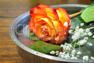 Beautiful rose on the surface of the vessel with water.