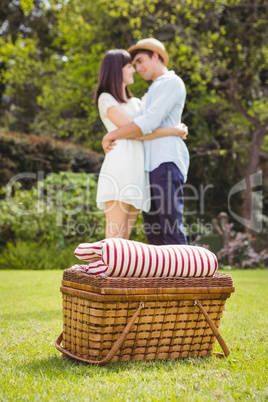 Picnic basket in garden