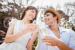 Young couple toasting a wine glass