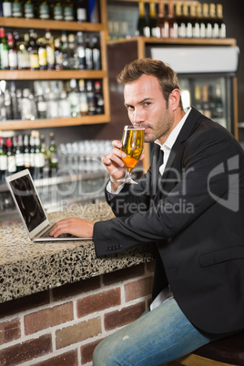 Handsome man using laptop computer and drinking a beer