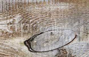 rough textured wooden board