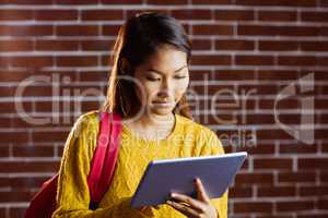 Focused asian female student using tablet